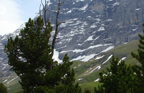 Grindelwald Ski Chalet | quiet location, directly at the ski school with view to the Eigernordwand