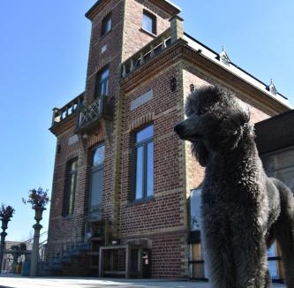 Poperinge Bed & Breakfast | Terp