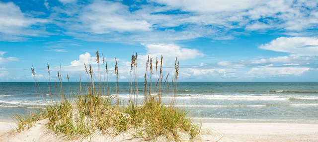 2 Bed/2.5 Bath Townhome In Gorgeous Timeless Amelia Island Steps from the Beach in Fernandina Beach