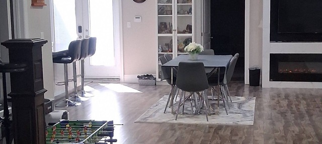 A beautiful Walkout basement in Pickering