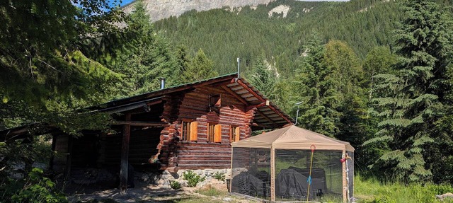A Swiss chalet styled cabin in the woods with rustic charm. A peaceful getaway. in Blaeberry