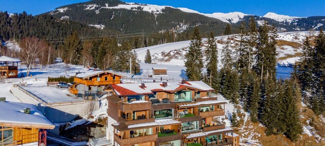 Accommodation with sauna near the ski lift in Mittersill