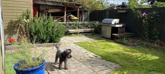 Alpine haven ready for holiday memories to be made in Methven