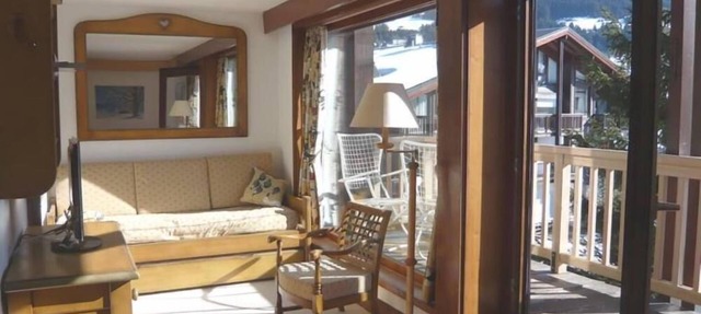 apartment rental 20 m² of happiness in Megève