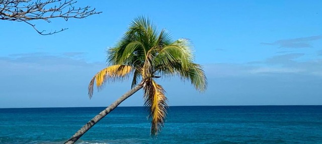 Atlantic Wave Villa in Aguada