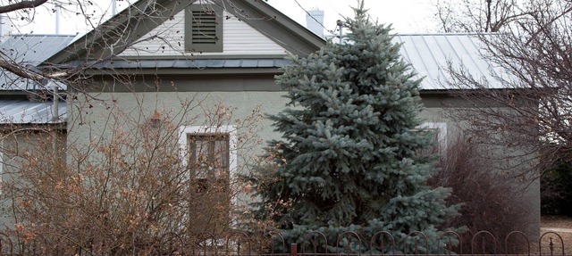 Austinite Marfa: Beautiful Minimalist Adobe, Walk to Downtown in Marfa