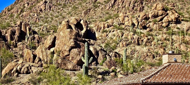 Authentic Tucson Experience: Mud Adobe Casita Nestled in Canyon Among Wildlife in Tucson
