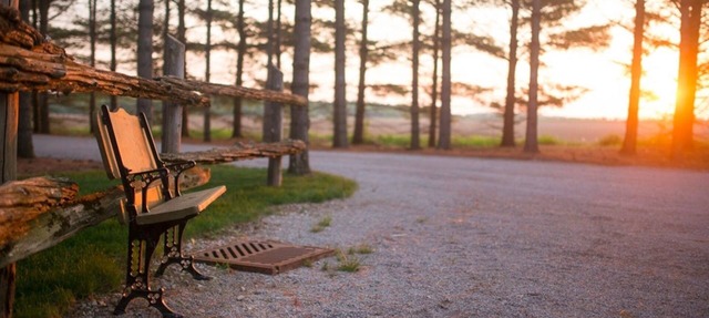 Awaken to nature’s beauty at Whispering Pines Retreat! in St.Marys