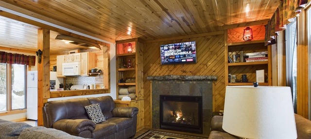 Bear Den-Secluded 2 Bedroom Cabin Located in the Hiawatha National Forest. in Shingleton