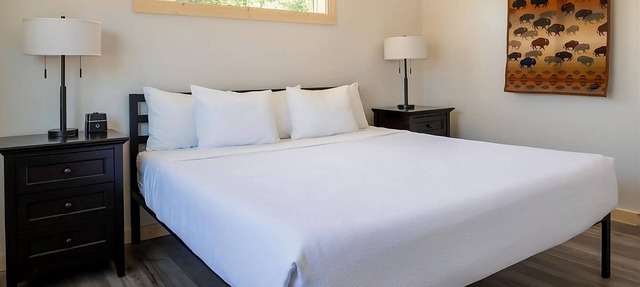 Beautiful and Quiet Spot! 2 Gorgeous Rooms, Pets Allowed, Pool & Free Parking in Boardman