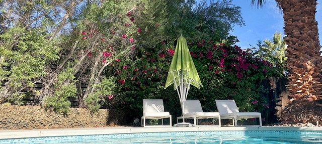 Beautiful Mid Century Hideaway - featured in New York Times "Desert Cool" in Palm Springs