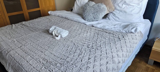 Bonito Apartamento Vacacional in Lausanne