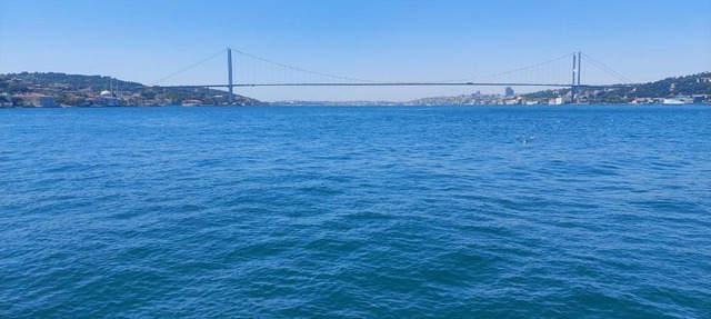 BOSPHORUS MANSION WILL AMAZE YOU w/ PRIVATE DUCK in İstanbul