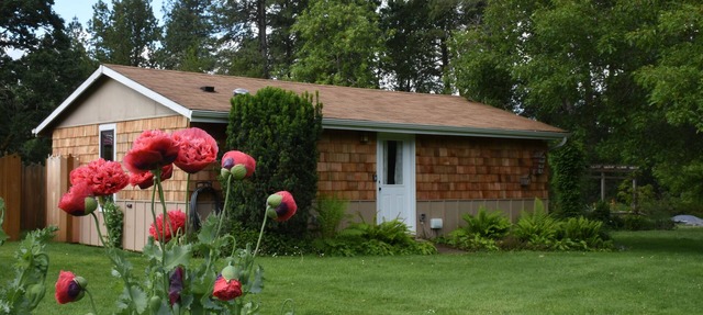 Bright spacious garden cottage 10 mi. west of Eugene. Fully remodeled sleeps 1-6 in Elmira
