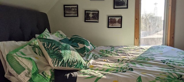 Cactus Suite (Downtown Wolfville) in Wolfville