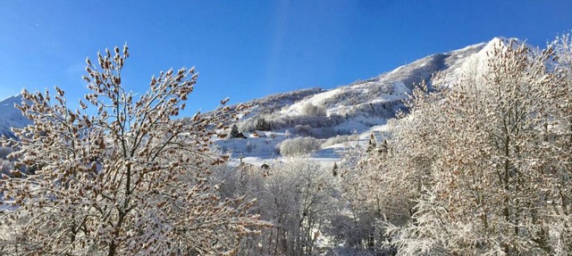 CHALET LE SOVAJE in Saint-Sorlin-dʼArves