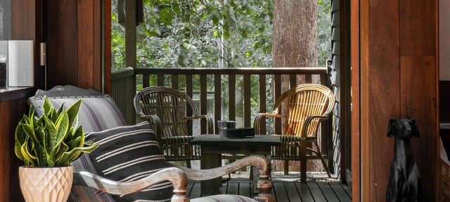 Character filled chalet at Springbrook National Park, Queensland Australia in Springbrook