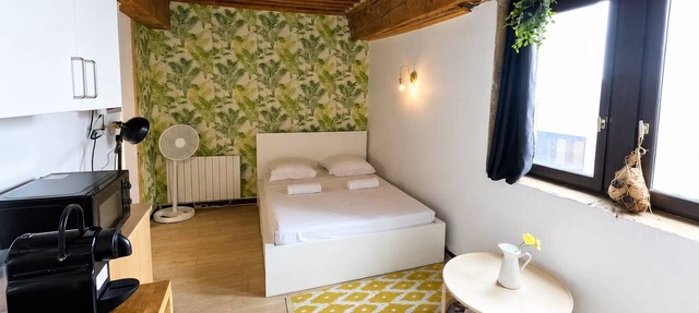 Charming 21m² studio - Opéra & Terreaux, Lyon in Lyon