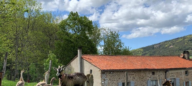 Charming accommodation with fireplace and garden in Sauvain in Sauvain