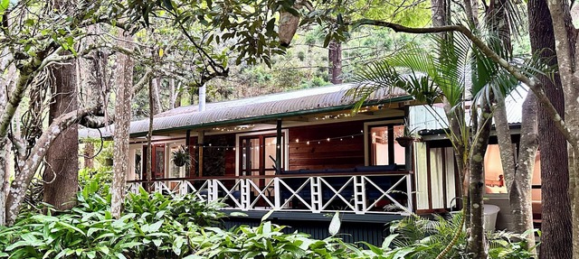 Christmas Creek Rainforest Retreat, ultimate nature filled group getaway. in Lamington