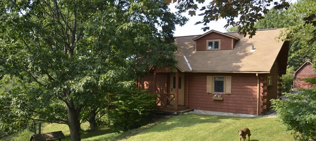 Clean, Fox Chapel Area, 20 Minutes from Downtown Pittsburgh in Pittsburgh