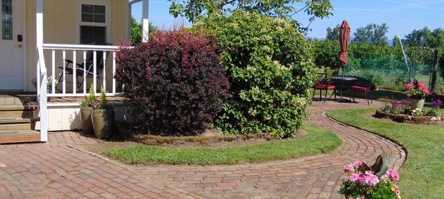 Cozy Cottage on family hazelnut farm in beautiful Willamette Valley in Canby