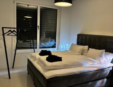 Design Flat Hidden Pearl Davos in Davos