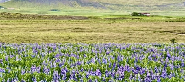 Design Villa with a Large Hot Tub and Amazing Views on Snaefellsnes Peninsula in Stykkishómur