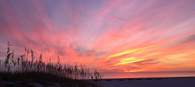 Directly on the Beach in Madeira Beach
