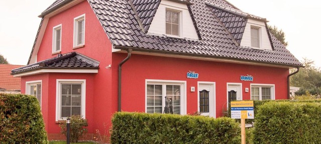 Falke in Zingst