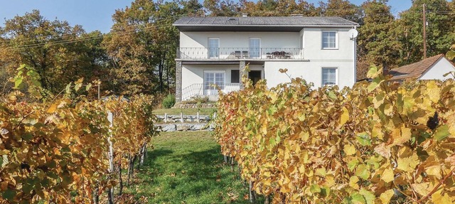 Ferienhaus mit Panoramablick in Eisenberg