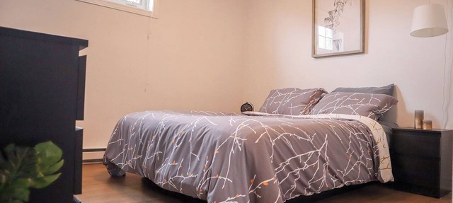Full apartment in Gatineau, 10 min drive to Ottawa in Gatineau