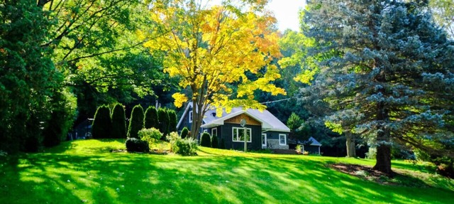 Heated Pool, Hot Tub & Private Sledding Hill Near Blue Mountain in Meaford