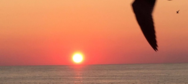 It's time for that Beach Getaway! in Panama City