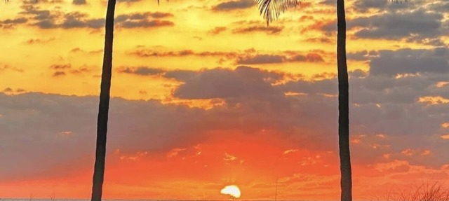 Jan. Available to Enjoy the Beach, Sunshine and Warm Weather! in Pompano Beach