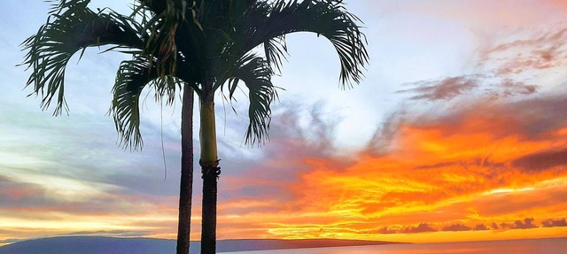 Kuleana 407 Ground Oceanfront - No Additional Owner Fees and Discounts Available in Lahaina