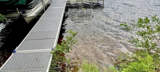 Lake Minerva w/Dock bring boat on Trails in Danbury