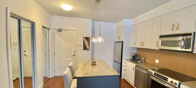 Luxury Condo on Bear Mountain—travel nurses! pets! in Langford