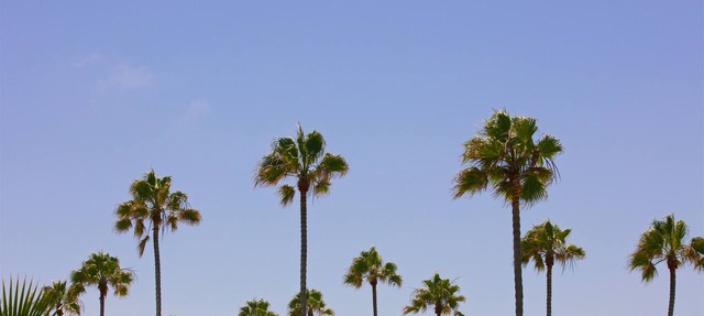 Ocean Beach Hotel in San Diego