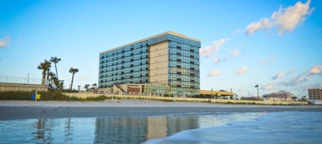 Ocean View Studio Condo - turtle in Daytona Beach