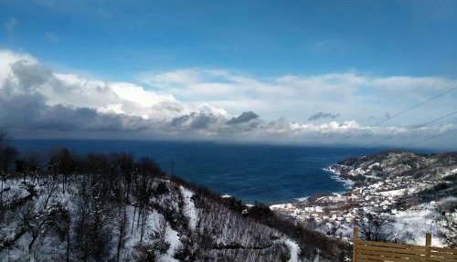 Opera Bungalov in Ordu