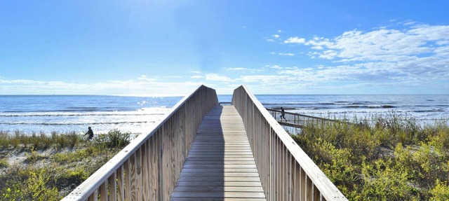 Parrot Paradise by Ryson Vacation Rentals in Galveston