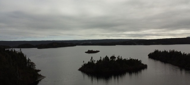 Pond View and Plenty of Room! in Cape Broyle