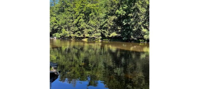 ⭐️Pristine river front property, swim, kayak + fish. ⭐️ 90 mins away from NYC in Godeffroy