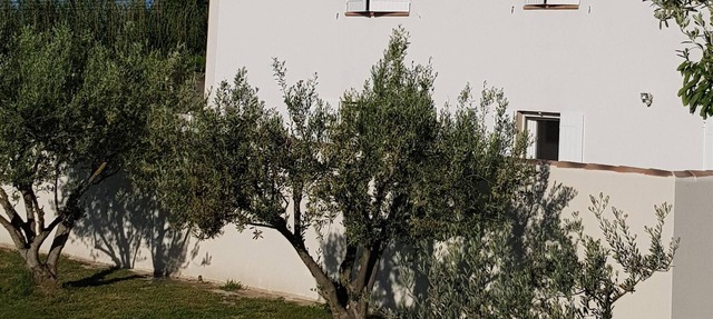 Provence.......... in Mallemort