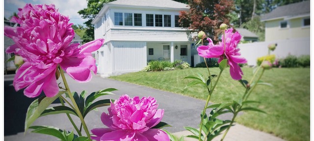 Quaint Carriage House Studio Steps from Perkins Cove in Ogunquit