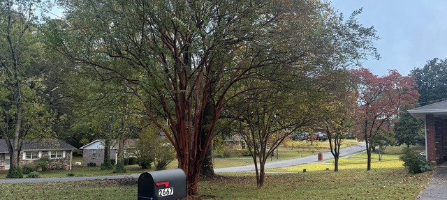 Quiet Rustic Scape, Large Yard, Sleep 8 Near ATL in Marietta