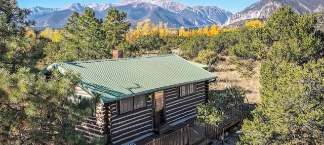 Rustic Cabin ~ Private Mtn Views ~ Dog Friendly in Nathrop