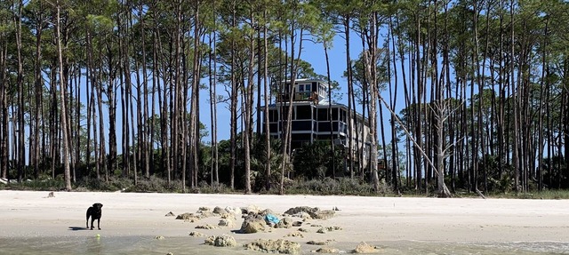 Sand Point South on Alligator Point in Alligator Point