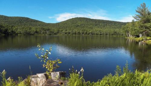 Serendipity Lake House in Windham